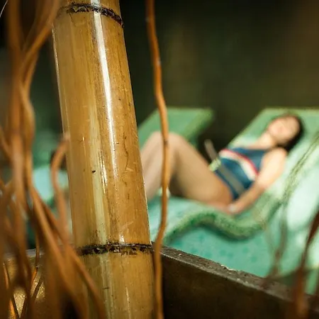 圣森索塔拉索大酒店 酒店 4*