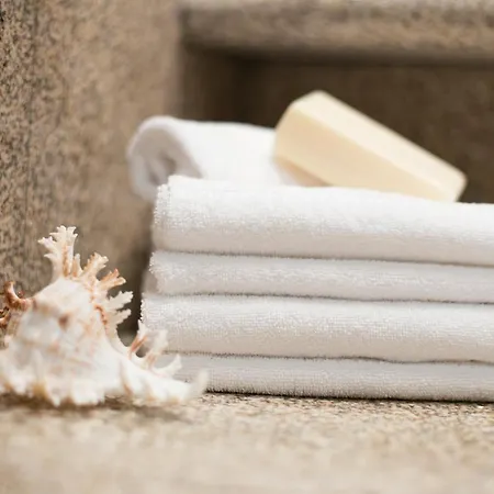 酒店 圣森索塔拉索大酒店 4*